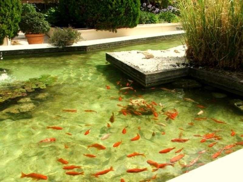 Hotel Diana Vence Luaran gambar